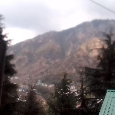 Auberge de jeunesse Himalayan Triund Trekking And Mountain View à Dharamshala Extérieur photo