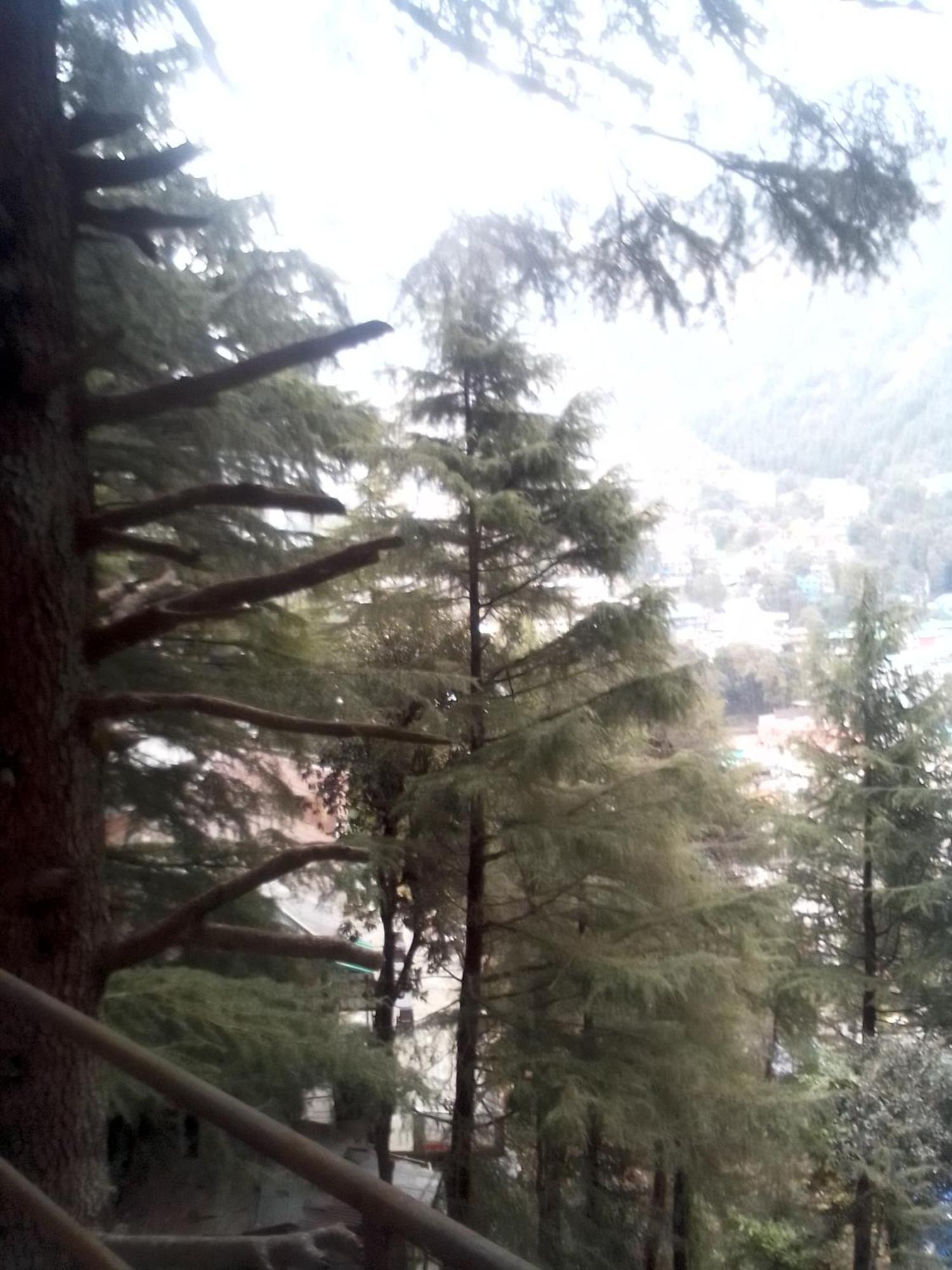 Auberge de jeunesse Himalayan Triund Trekking And Mountain View à Dharamshala Extérieur photo