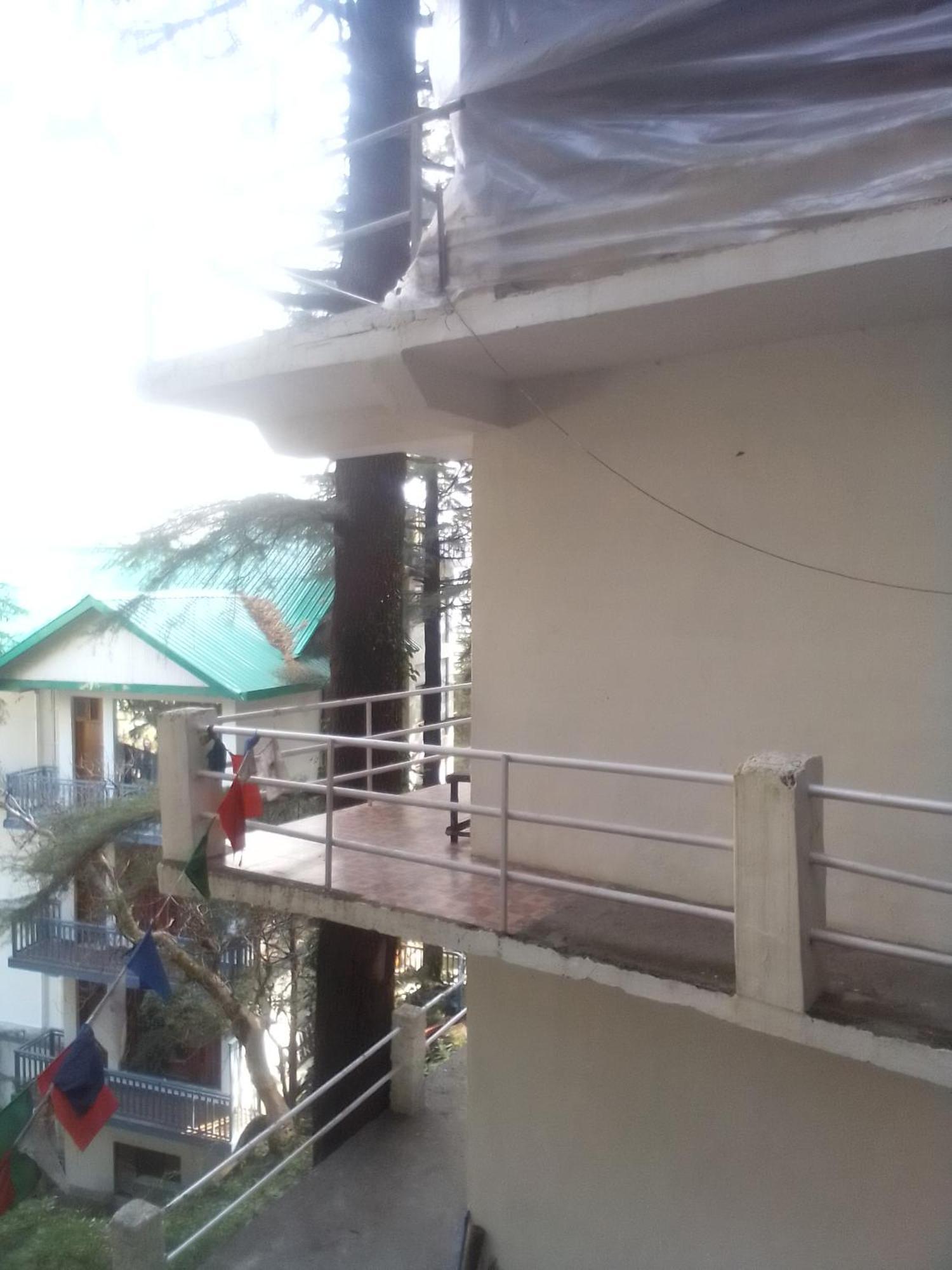 Auberge de jeunesse Himalayan Triund Trekking And Mountain View à Dharamshala Extérieur photo