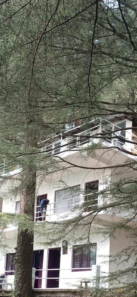 Auberge de jeunesse Himalayan Triund Trekking And Mountain View à Dharamshala Extérieur photo