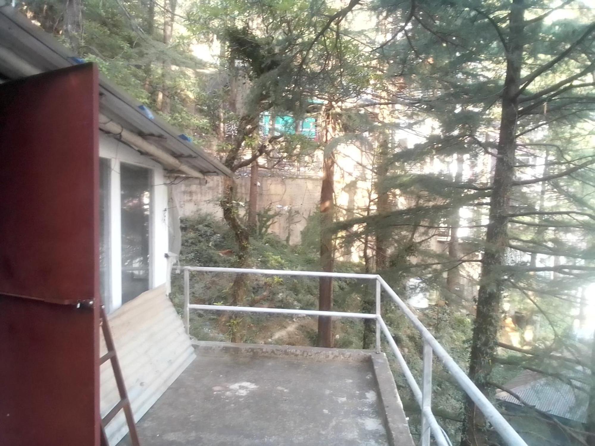 Auberge de jeunesse Himalayan Triund Trekking And Mountain View à Dharamshala Extérieur photo